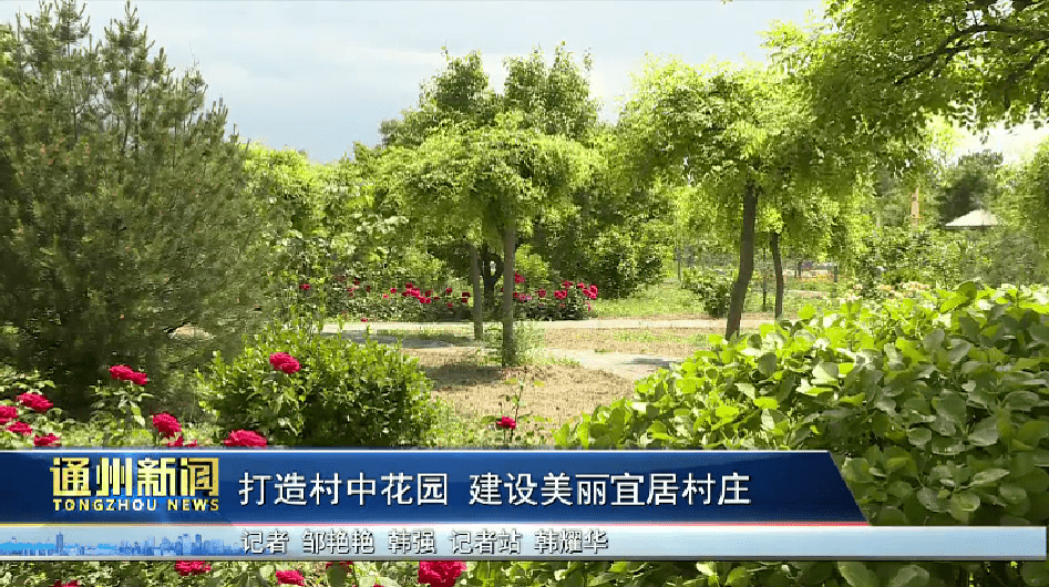 小海字村打造村中花园,建设美丽宜居村庄(附视频)_乡村