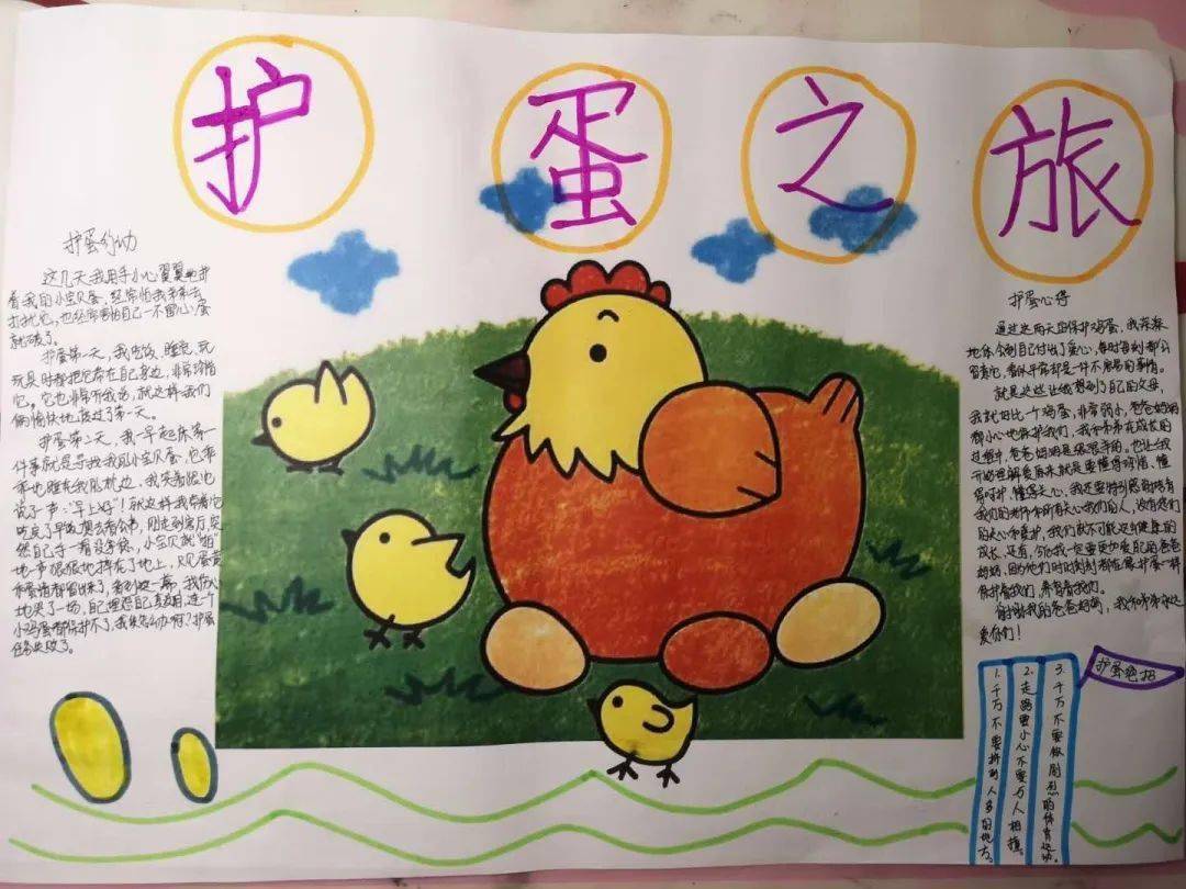 孩子们分享了三日护蛋的感悟,孩子们的感情得到升华,知道生命来之不易