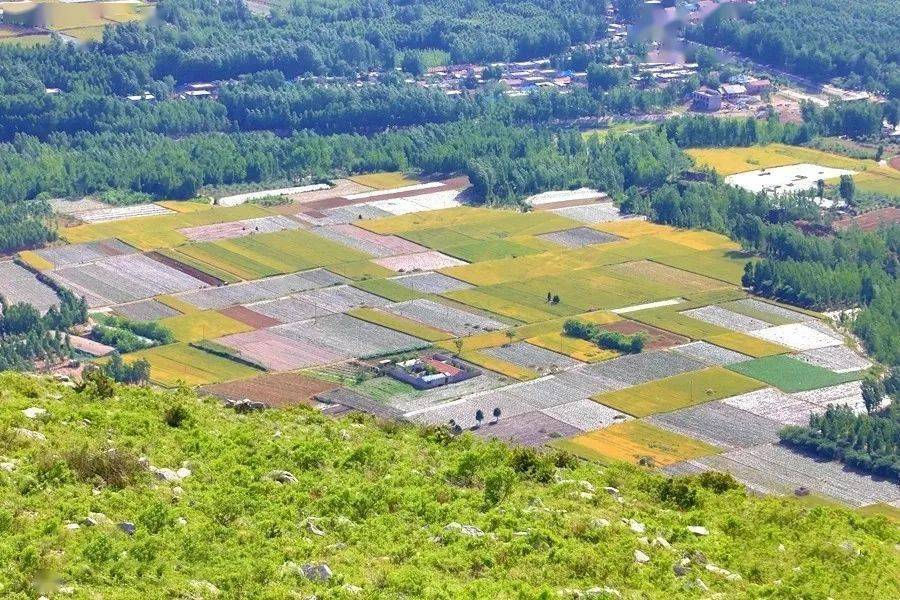 济宁 泗水泗张镇以下梯田组图来自:王洪燕,行行摄摄赶紧来看看吧!