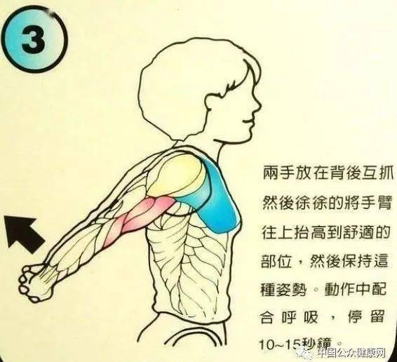 拉筋术 筋长一寸 寿长十年 每个动作一张图 一看就会 运动