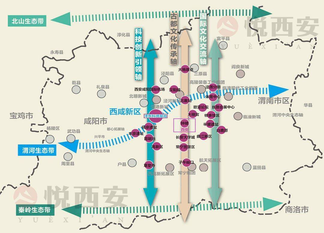 创新城市发展丨他们为西安打造森林绿岛