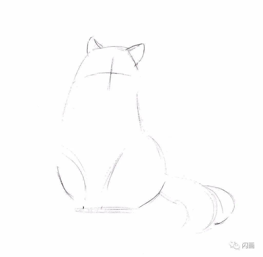 超详细针管笔手绘教程挪威森林猫
