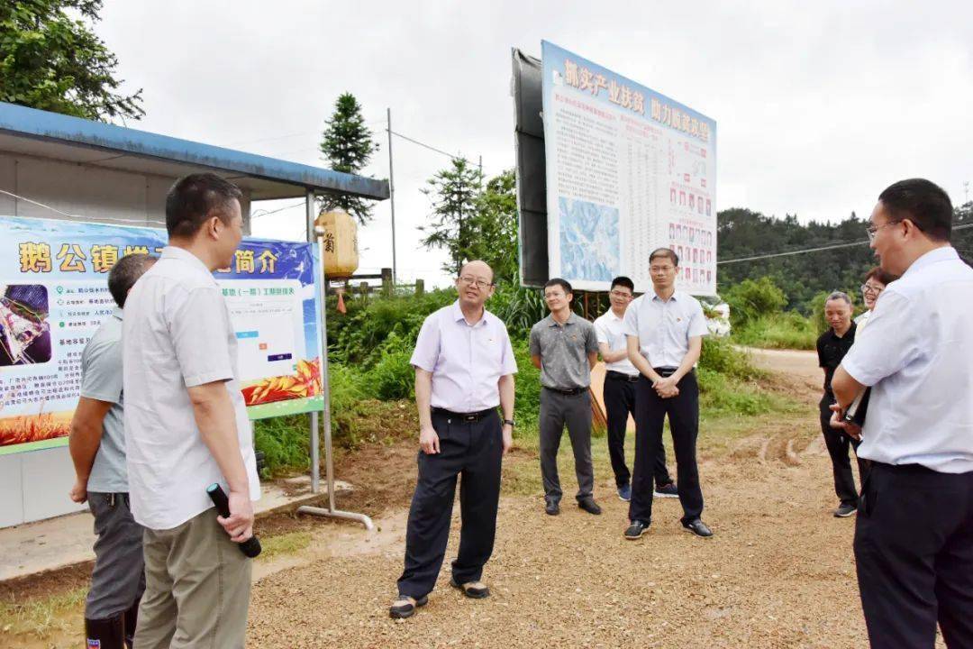 6月3日,县委书记赖正文前往鹅公镇水邦村,历市镇太公村,岭北镇玉石村