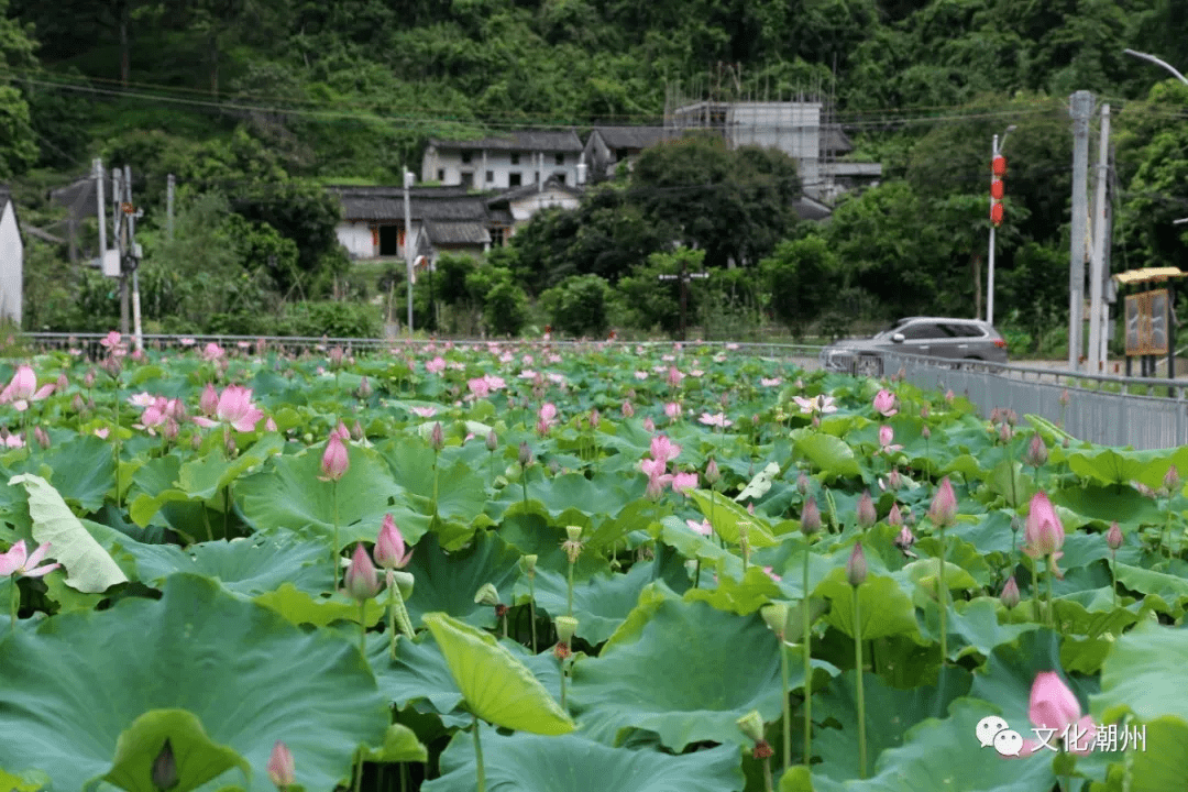 潮州首批文化和旅遊特色村出爐有你鄉里嗎