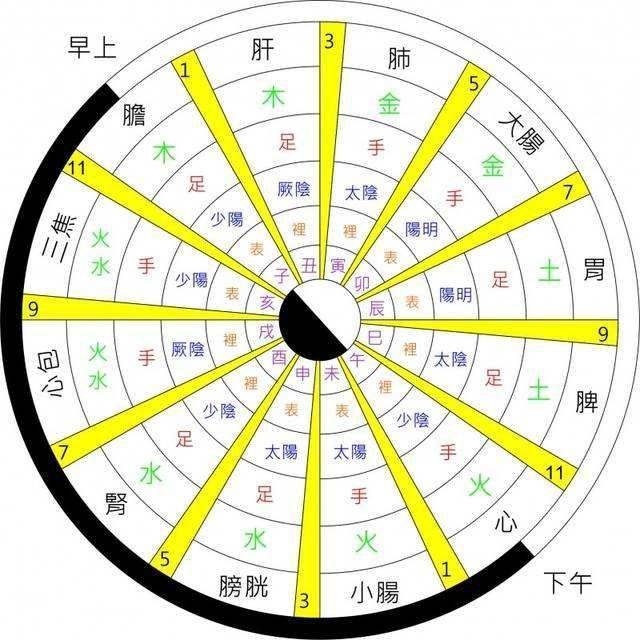 被人体排毒时间表骗了这么多年,其实