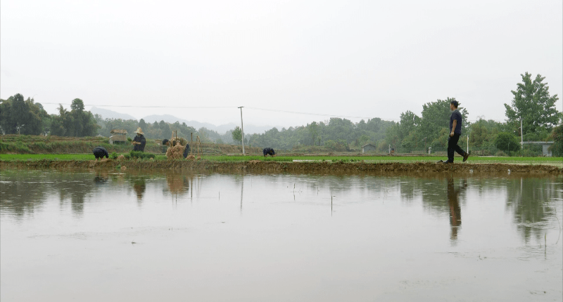 "虽然学历并不出众,但勤能补拙"初中毕业的水稻专家——刘克松