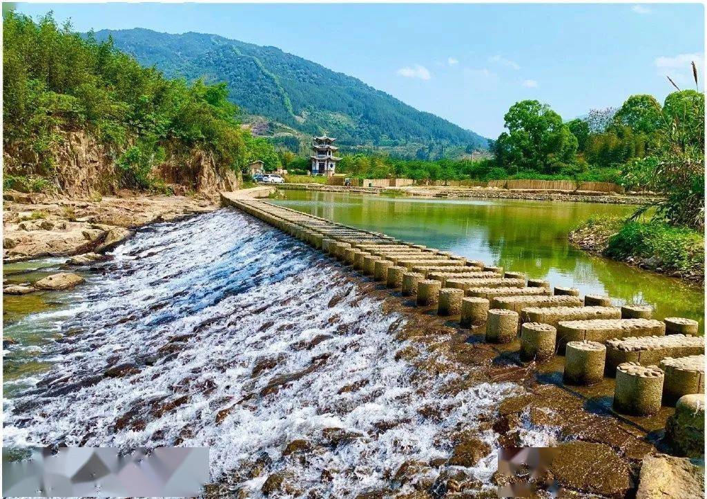 西园寺世界与泽永泰介图片