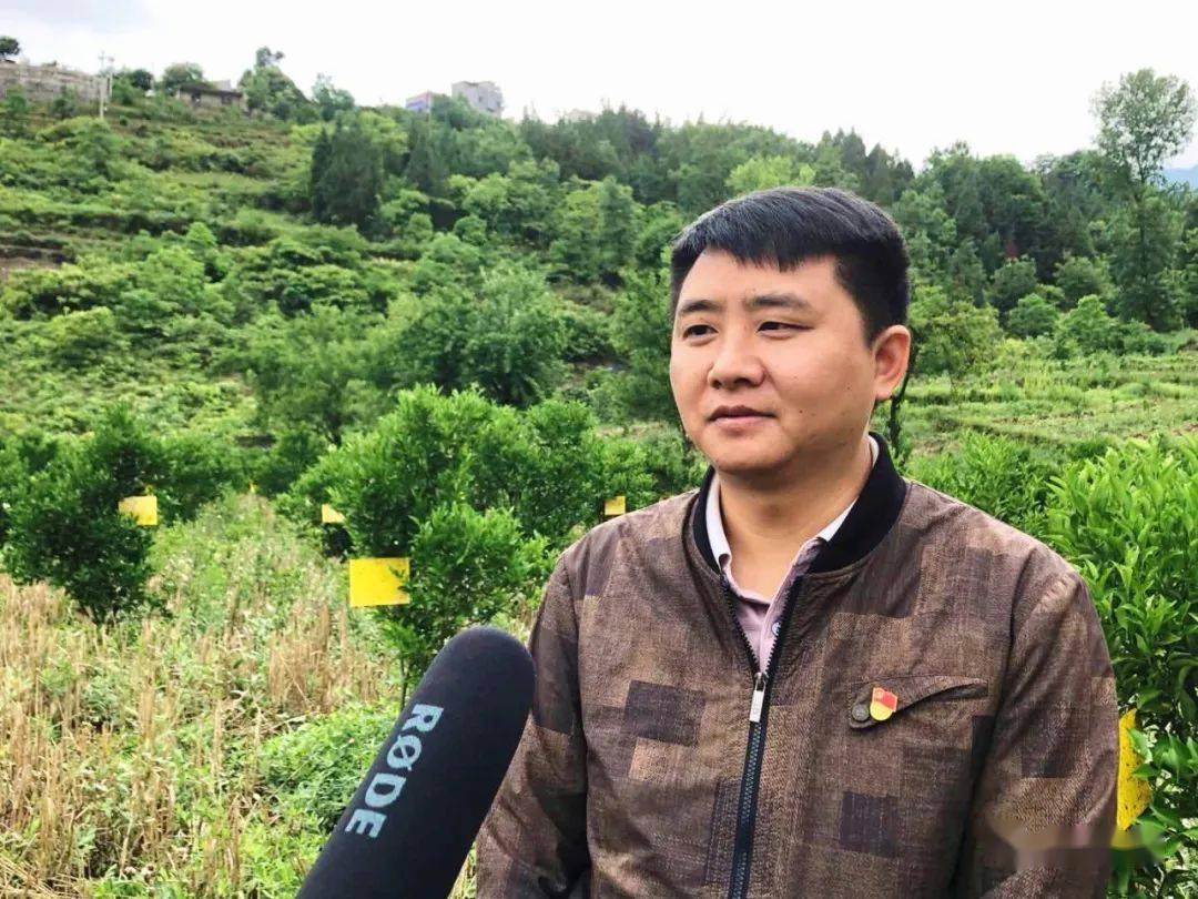 陈静:履行人大代表职责 兴产业惠民生