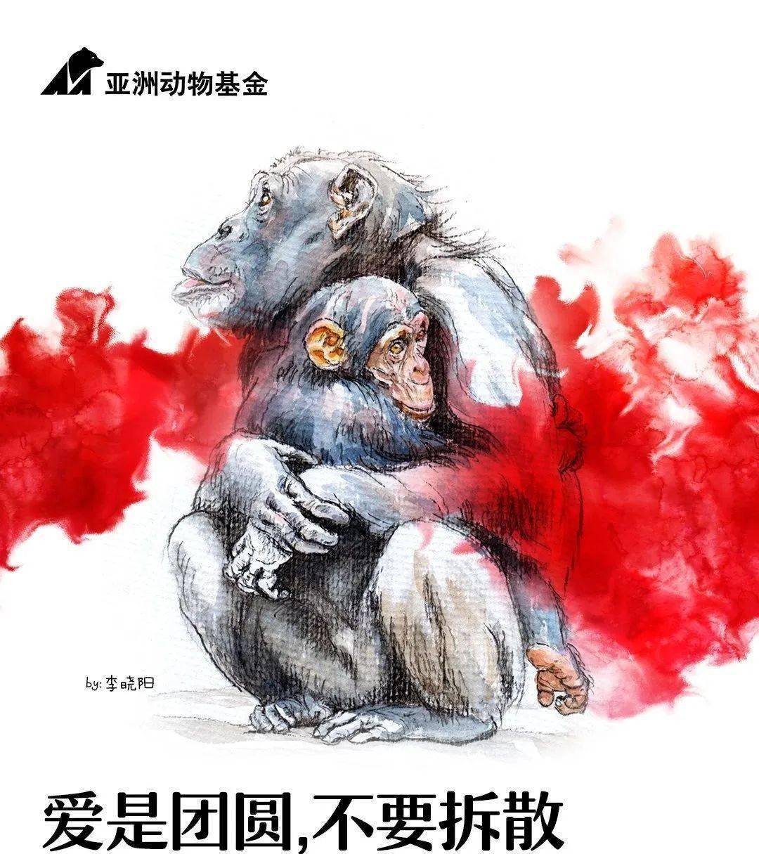 爱是团圆不要拆散动物福利公益绘画大赛信息