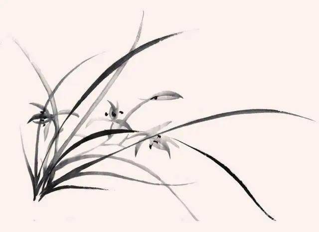 国画教程:分步骤讲解5种兰花的画法,简单易学,快来临摹