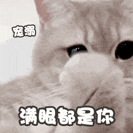 超赞明星dj舒子范承带你体验纯电动城市之旅