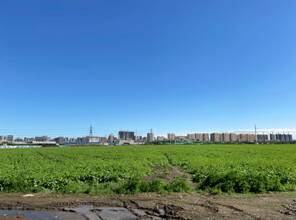 京沈高铁沈阳新北站位置确定田义屯高铁站有何说法栋察楼市早报66