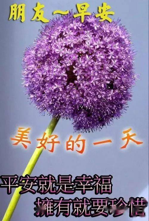 問候大家早上好祝福語錄圖片特漂亮早上好圖片表情動態帶字