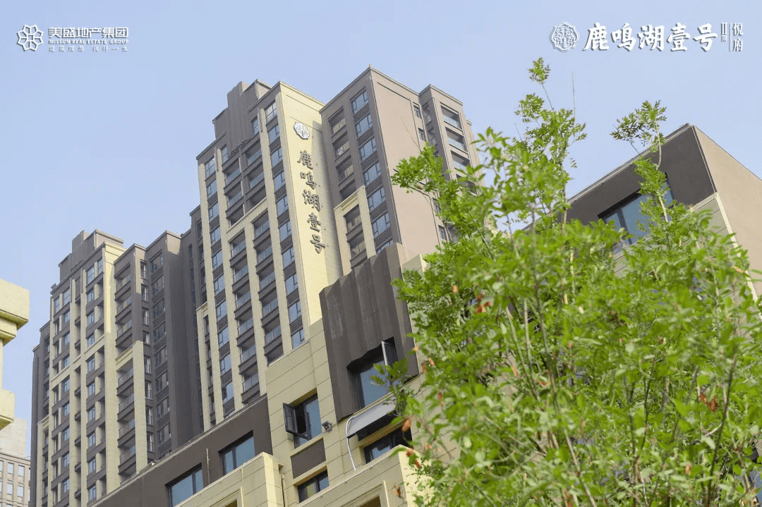 不负期待如约而至鹿鸣湖壹号二期悦府荣耀交房