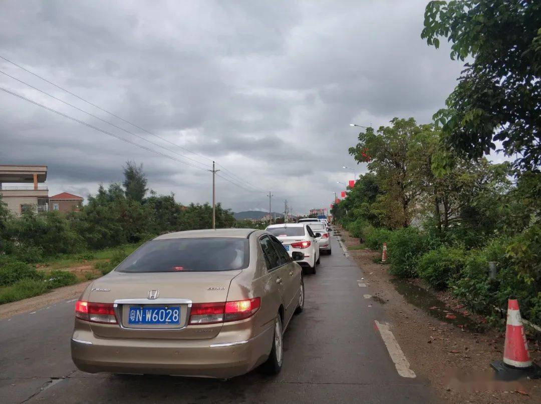 塞车国道228金厢镇境内路段因修路造成交通堵塞