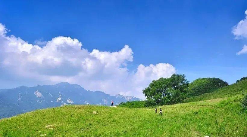 秦嶺十二印象丨流峪高山草甸6月14日丨慢享高山田園風光探秘秦嶺世外