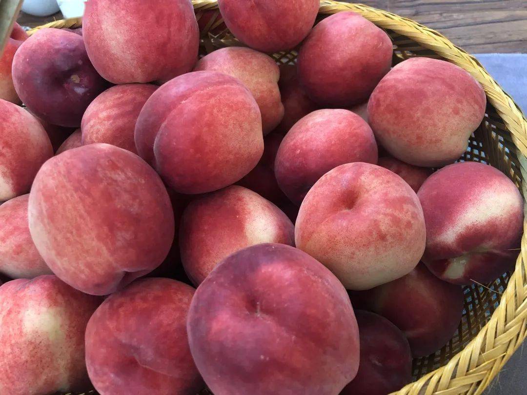 【冲刺90天 记者走基层】九江街道:百花桃进入成熟期入园采摘受青睐