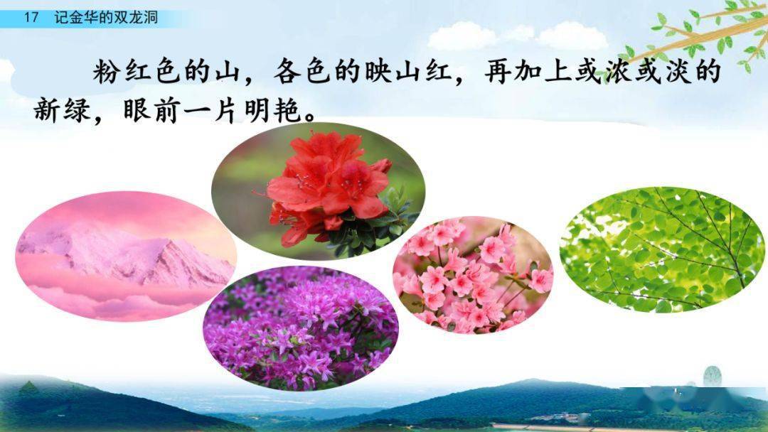 部编版四年级语文下册第17课《记金华的双龙洞》知识点+图文详解