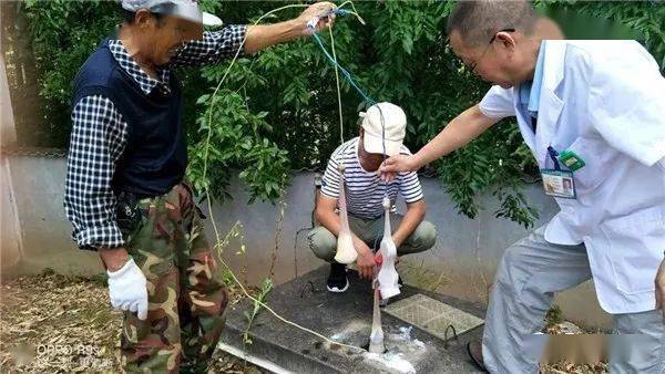 公共场所卫生许可证办理：让您的环境更洁净
