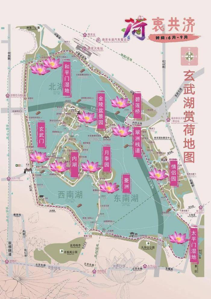 江南风动,花开初夏,生机勃勃的花漾南京回来了!