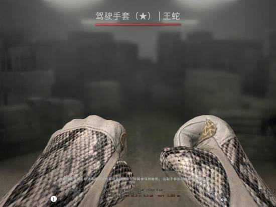 csgo王蛇好模板图片