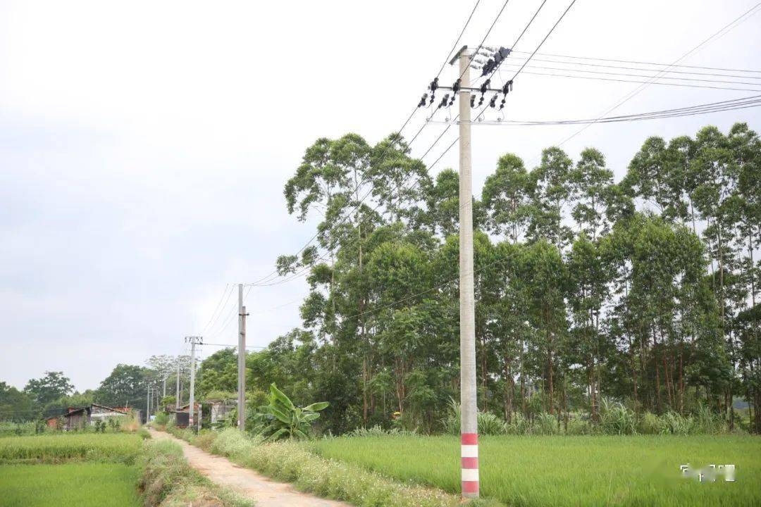 "宾阳县黎塘镇补塘村驻村第一书记郑文锋仅仅握住南宁宾阳供电局黎塘