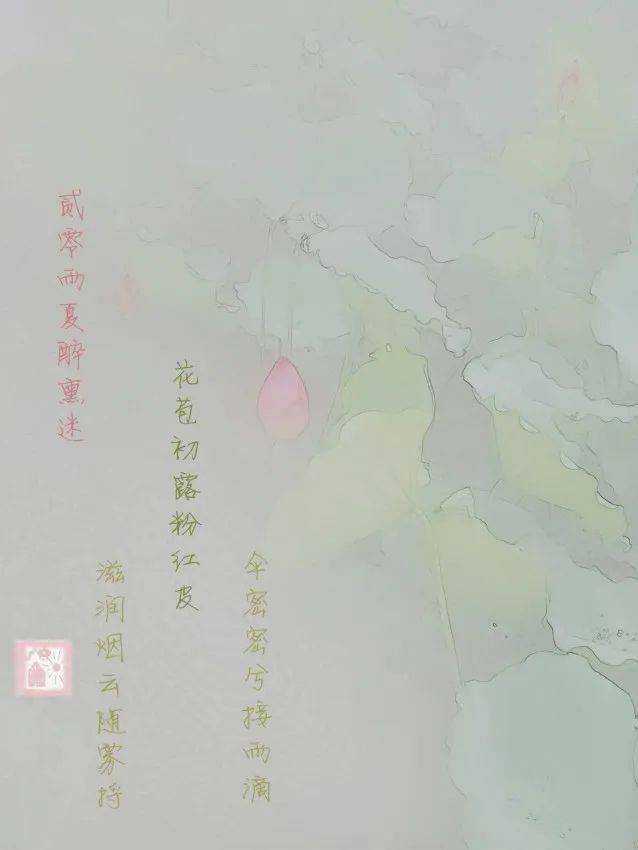 原创 诗意荷花 Nelumbo