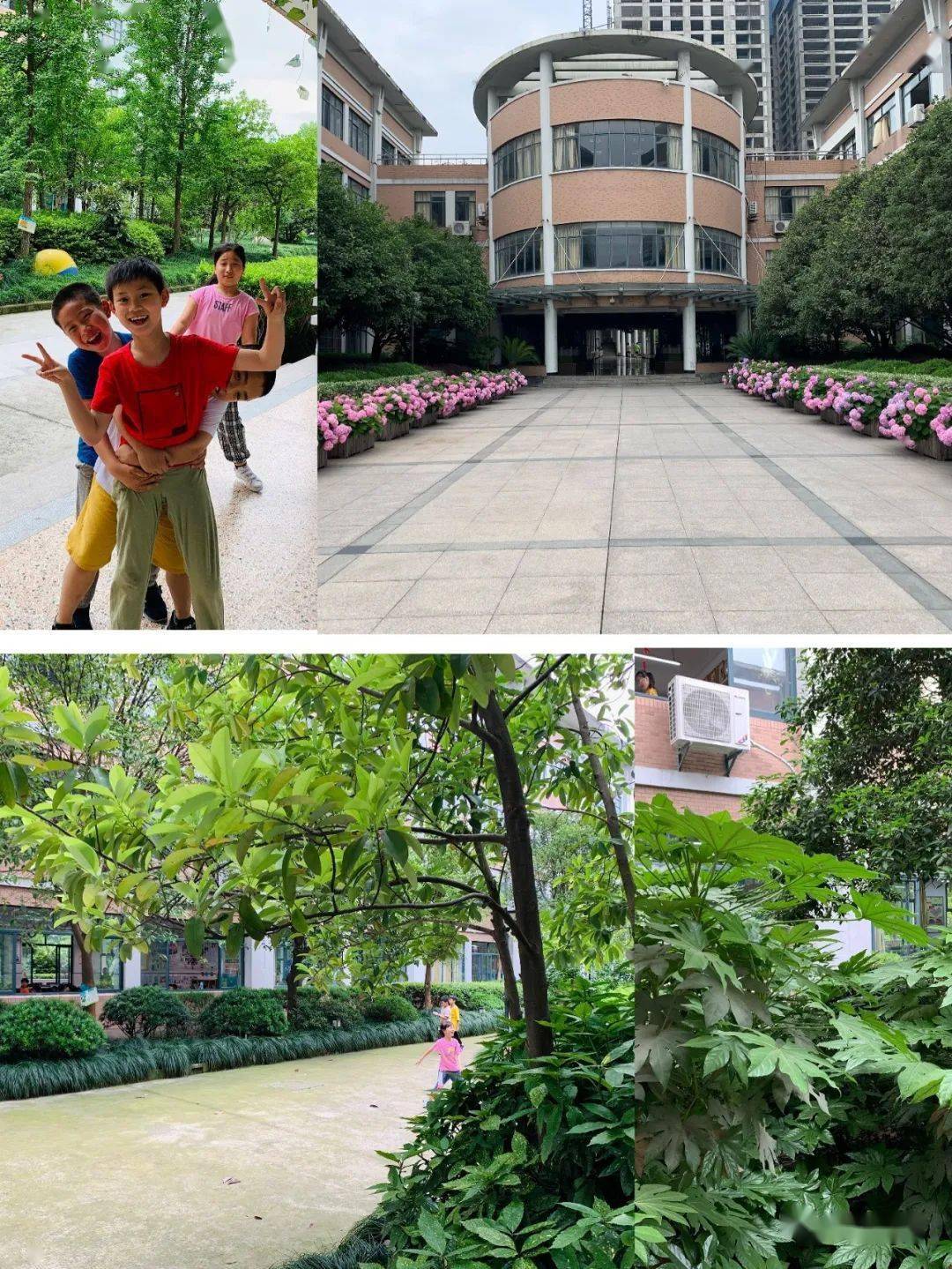 挂职见闻杭州市博文小学之我见