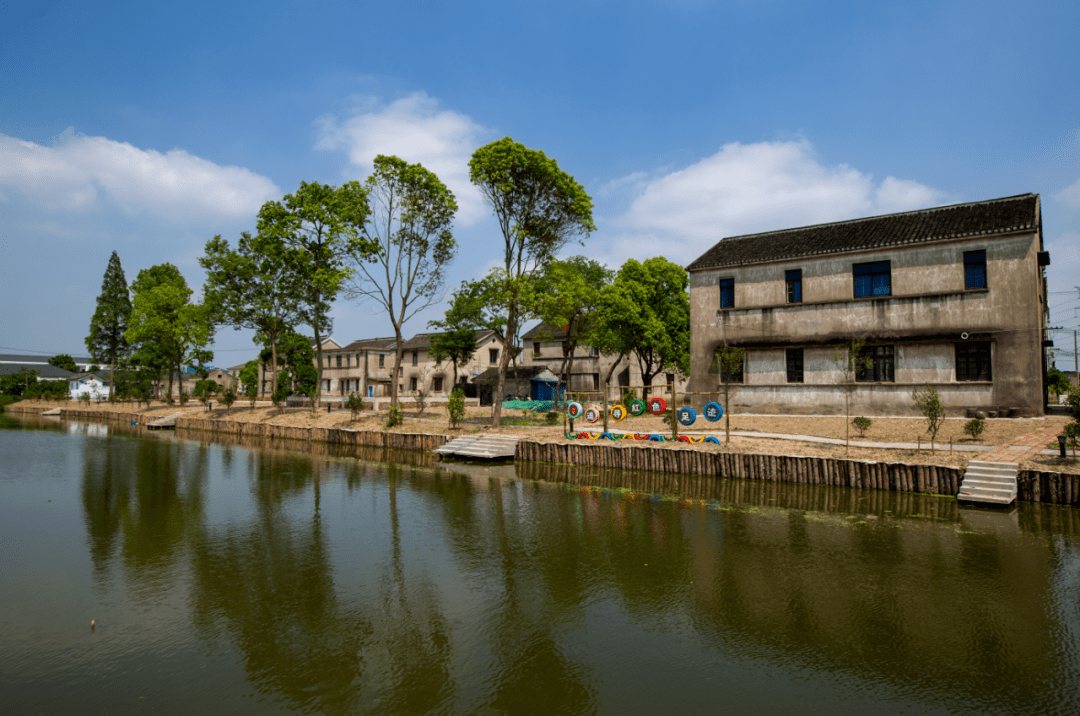 优秀董浜这个村被点名了我也想住农村