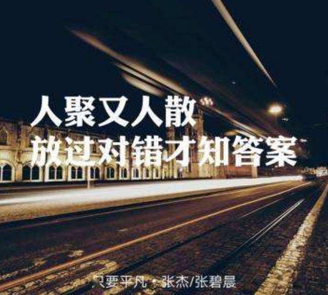 也许很远或是昨天在这里或在对岸长路辗转离合悲欢人聚又人散放过对错