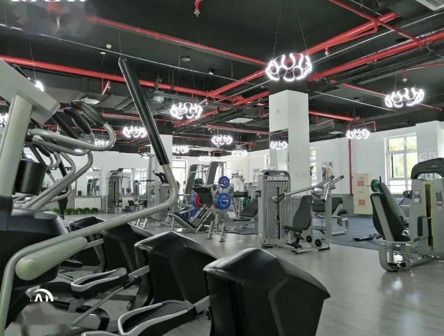 最新动态学校健身房开放啦