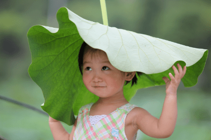 头顶荷叶的小女孩图片