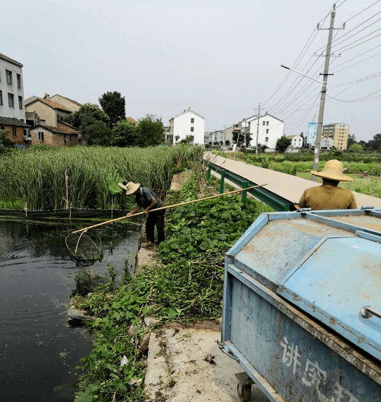 王家林村图片