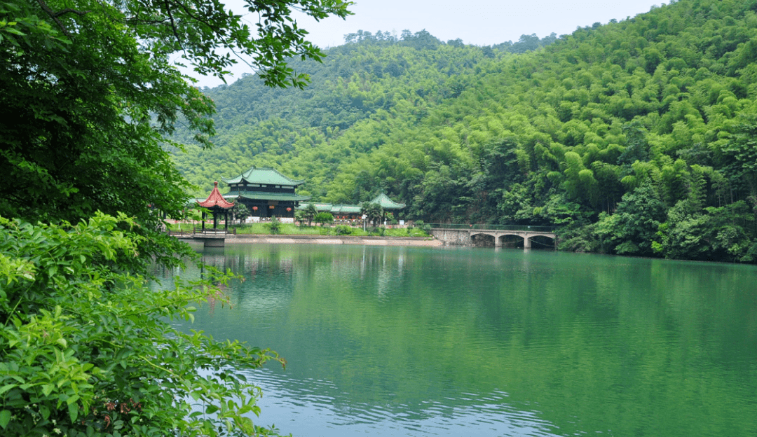 于宜兴竹海,享江南雅韵_风景