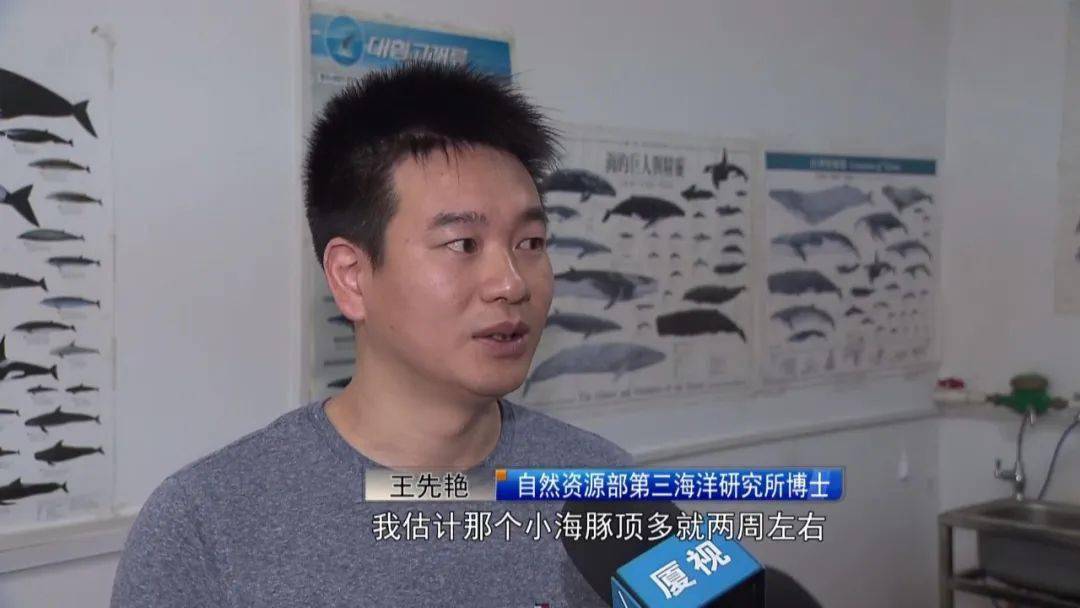 时隔8年大白带着ta的小黑娃高调出场