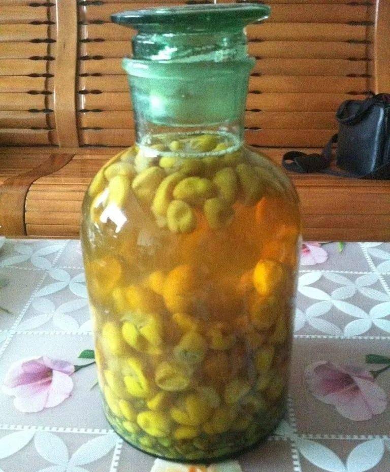 全身都是宝,还不赶快下手!_黄皮