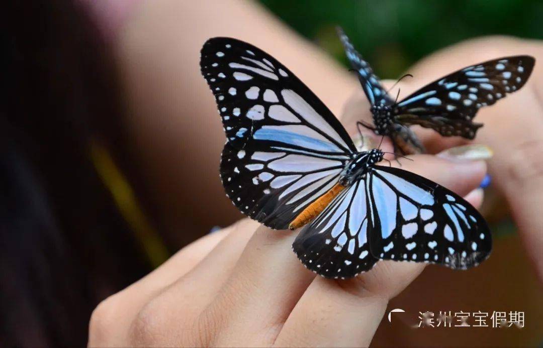 【6.13/14避暑休闲】沂水地下大峡谷,蝴蝶谷,荧光湖17度玩漂流