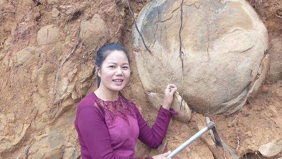 壮乡妹上山要把上次发现的恐龙蛋挖回家她真的拉回去了吗