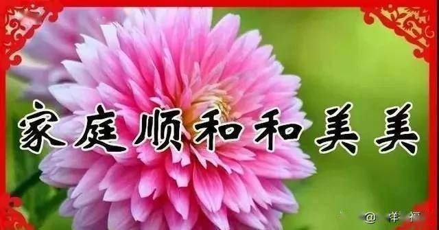 早上好清晨送去我誠摯的祝福祝願您一生幸福健康平安