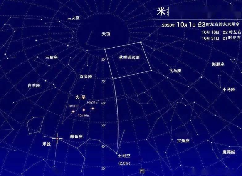 鲸鱼座的星座符号图片