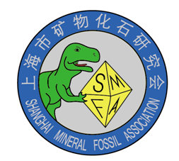 第21届上海矿物化石展612启幕,就在虹桥阿拉城