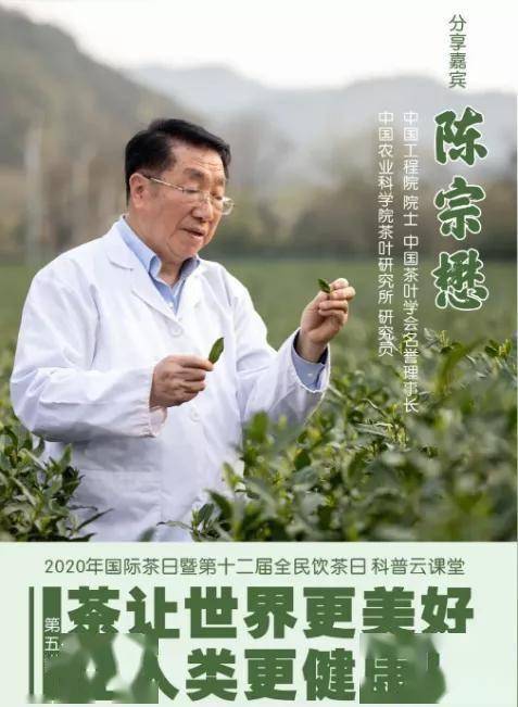 陈宗懋茶让世界更美好让人类更健康