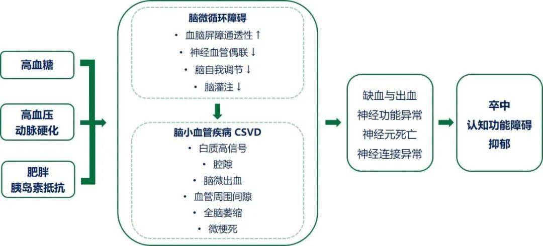 糖尿病学术前沿2型糖尿病的脑微循环并发症