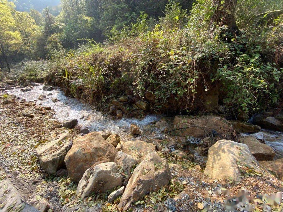 界水动态奖金多多美丽生态界水摄影大赛征稿开始啦