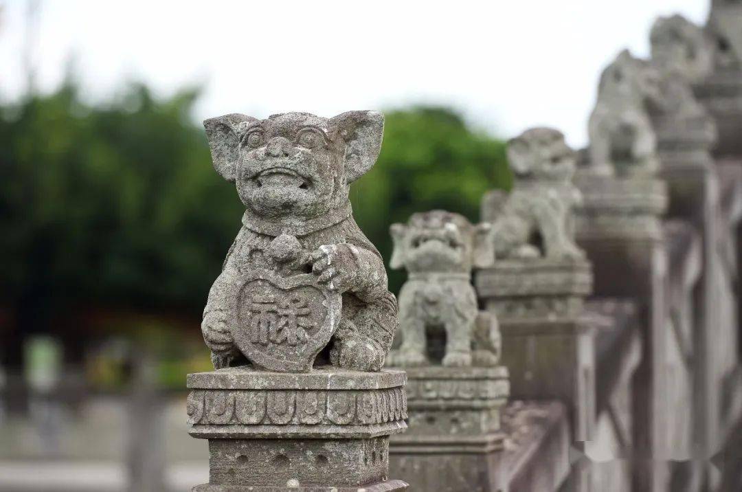 湛江雷州石狗图片