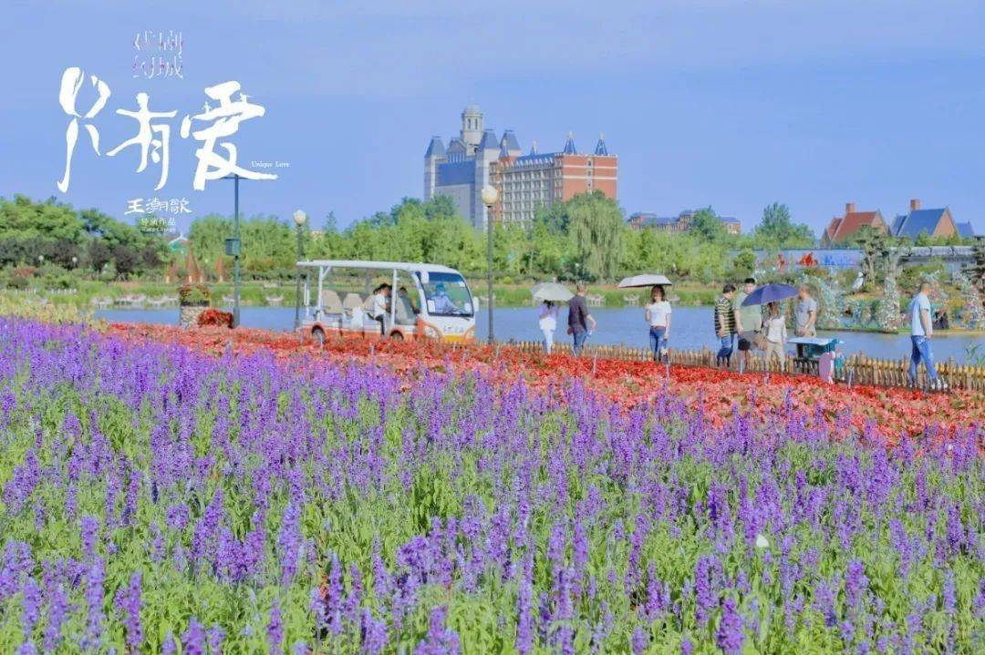 6月2023号各一期只有爱戏剧幻城荷兰花海水韵龙湾纯玩一日游