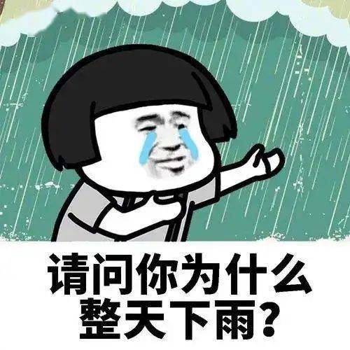 刚刚东莞发布台风白色预警大风大雨何时杀到最新预报