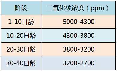 笼养肉鸡通风管理表图片