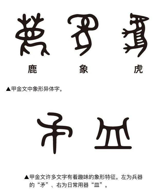 看看甲金文更多有趣的图像字.