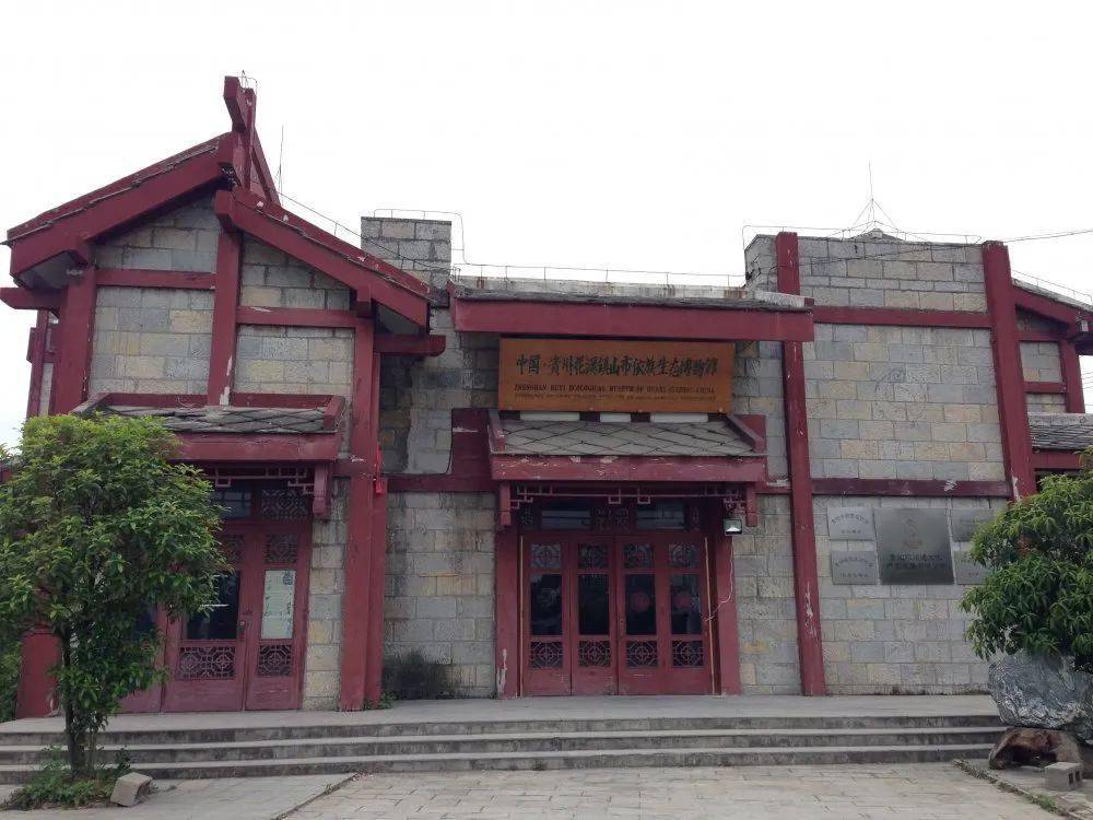 文化和自然遗产日丨潭嬢嬢带你了解天河潭周边村寨——镇山村_保护